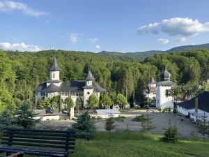 IMG 0499
